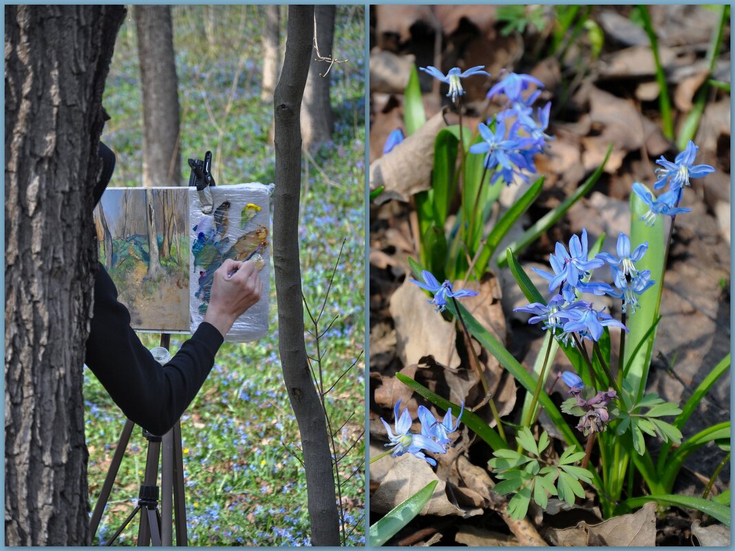 Весна творит рукой художника - Татьяна Машошина