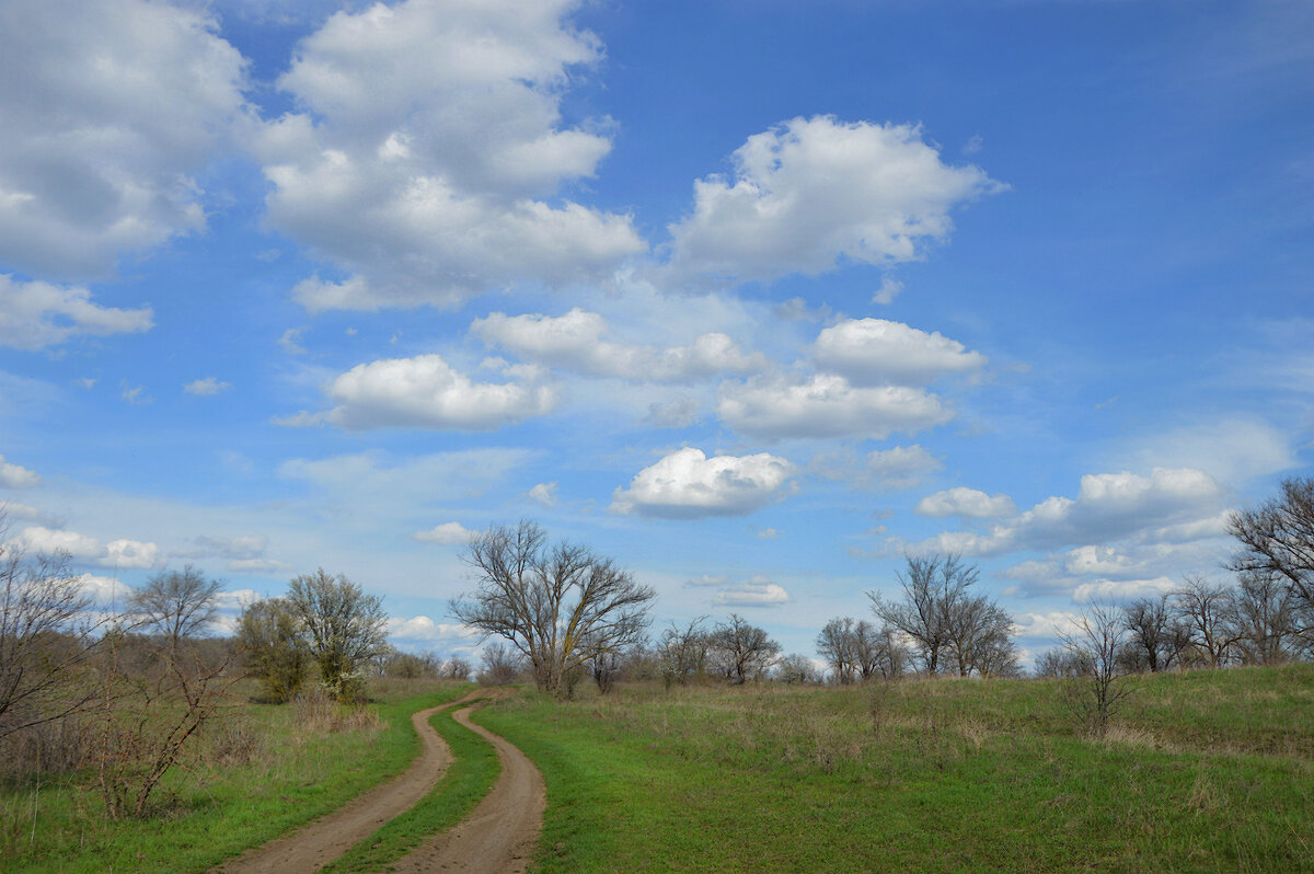 Весенний день...Дорога в весну...степь просыпается... - Надежда Куркина Весенний день...Дорога в весну...степь просыпается... - Надежда Куркина