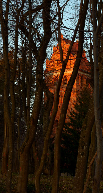 Кирха Нойхаузена. - Константин Белоногов