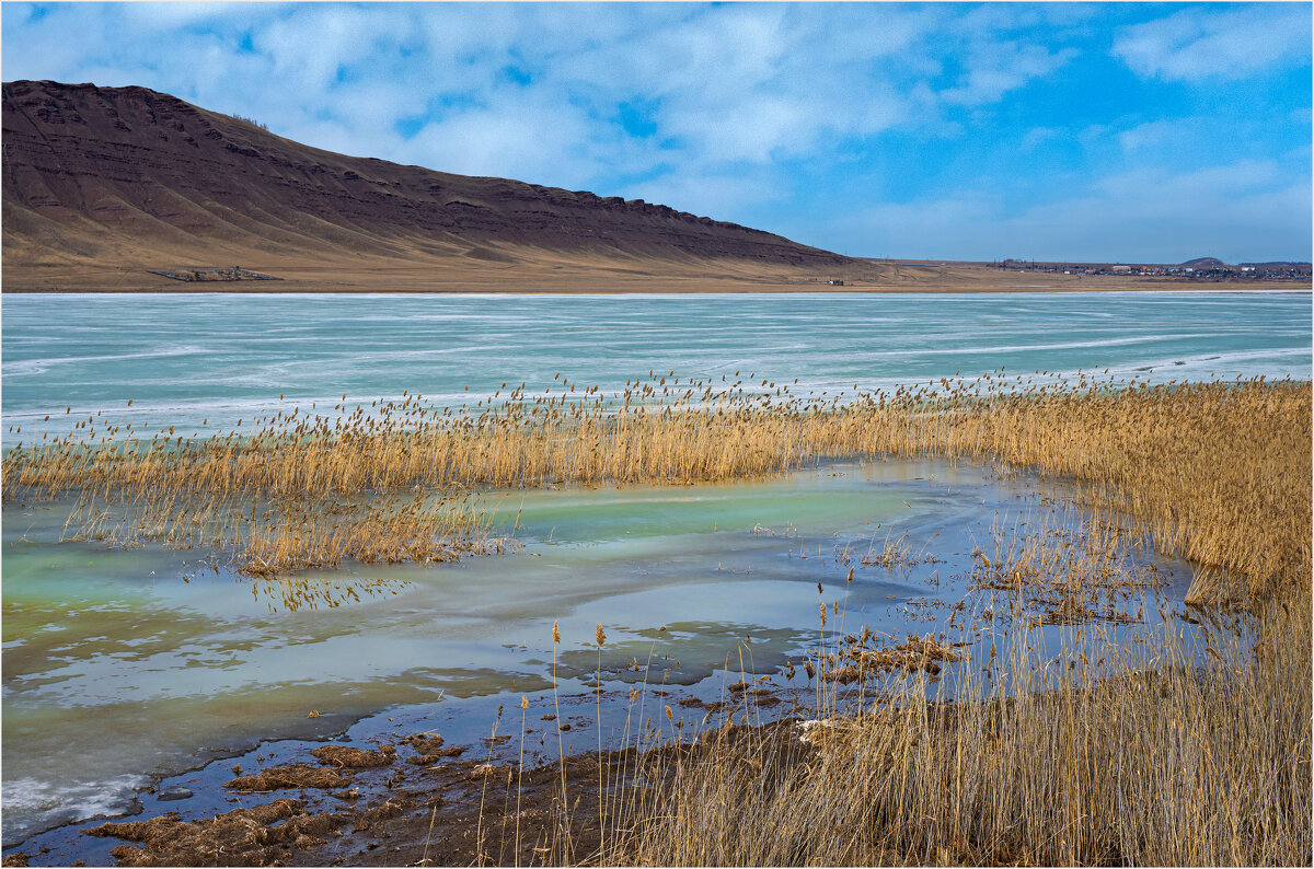 **** - Алексей Мезенцев