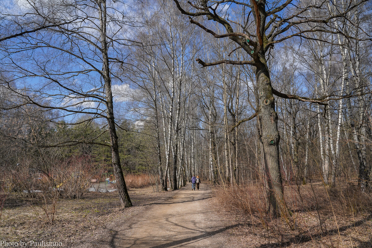 В весеннем парке... - Владимир Жданов В весеннем парке... - Владимир Жданов