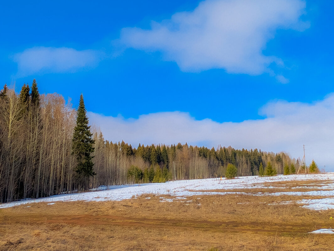 Весна - Анастасия Логинова Весна - Анастасия Логинова