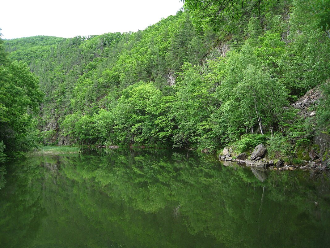 Кусочек Приморского края. - unix (Илья Утропов)