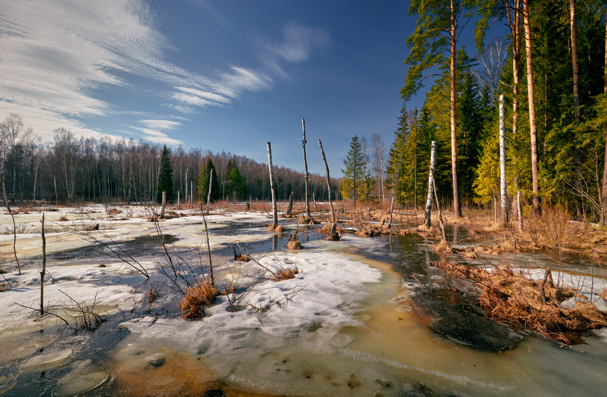 Приболотило ... - Roman Lunin