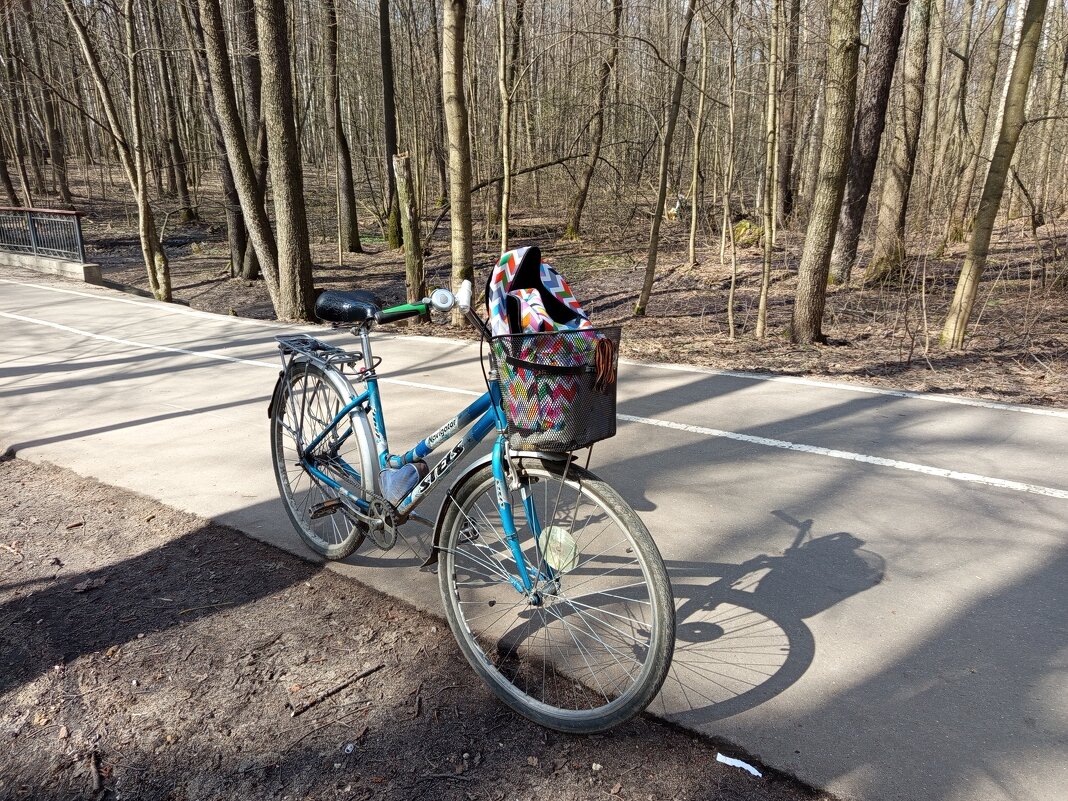 Портрет моего "железного коня" - Андрей Лукьянов Портрет моего "железного коня" - Андрей Лукьянов