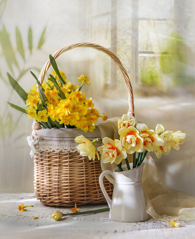 Нарциссы -солнечные цветы. - Bosanat Нарциссы -солнечные цветы. - Bosanat