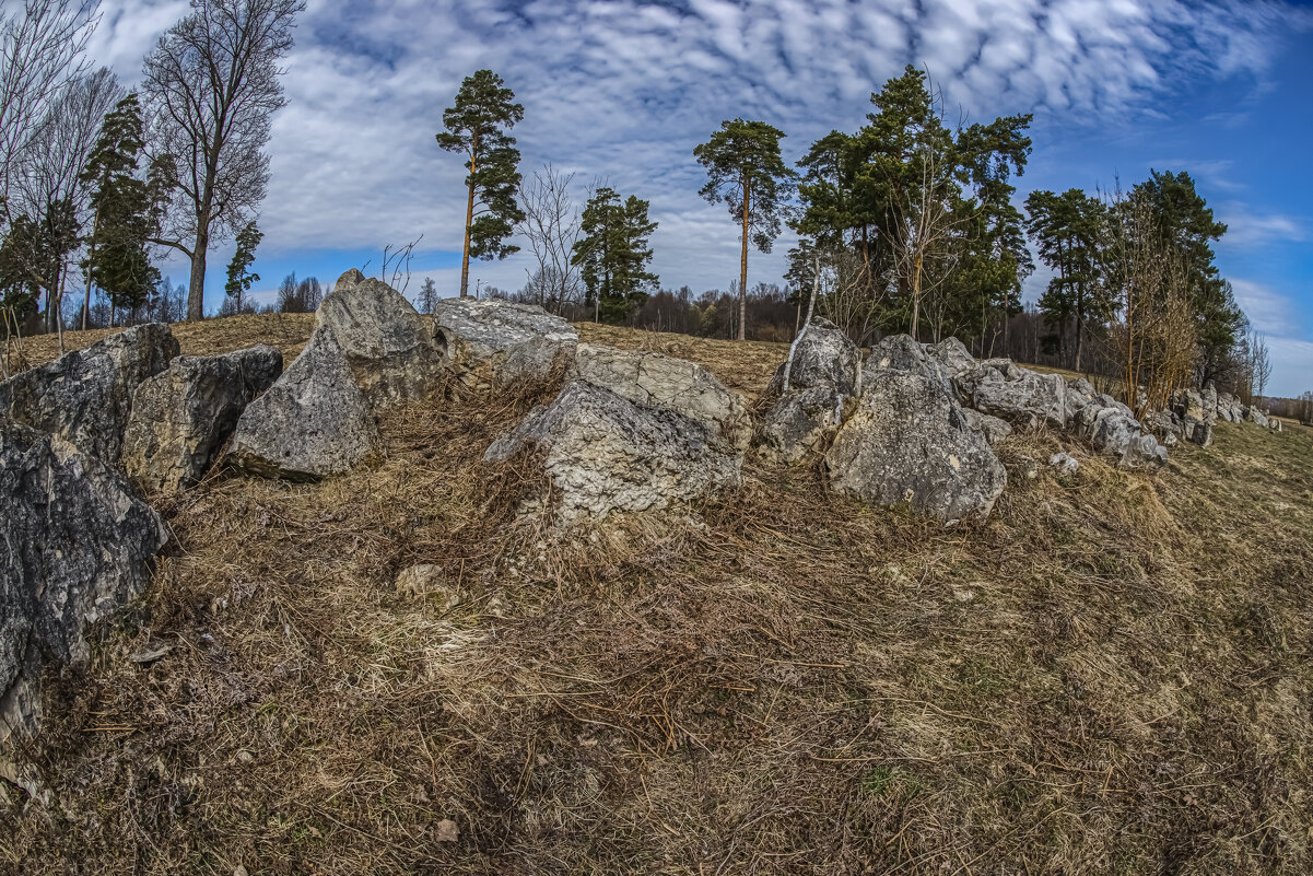На берегу Оки. - Николай 