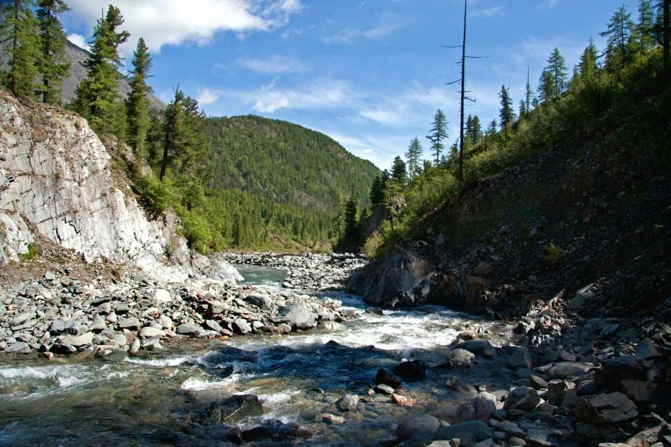 Река - Виктор Фоменко