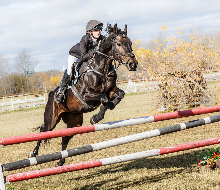 Конкур - SanSan 