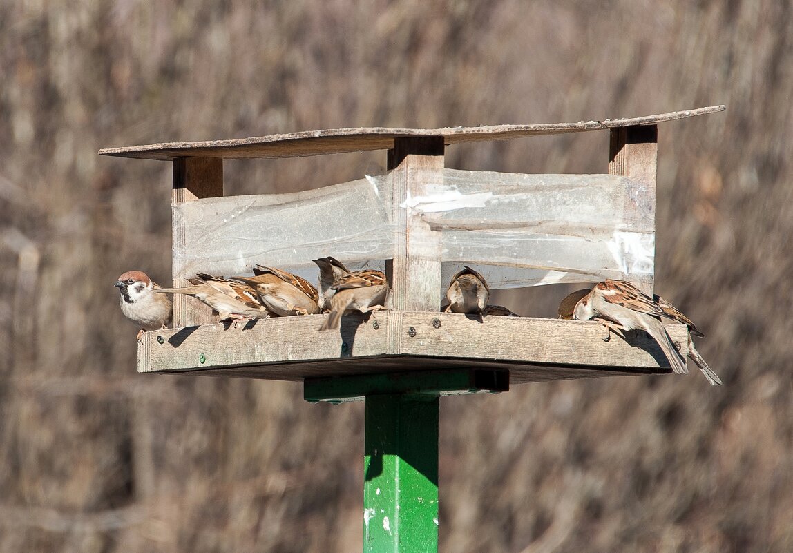 Один на стрёме - Валерий Иванович