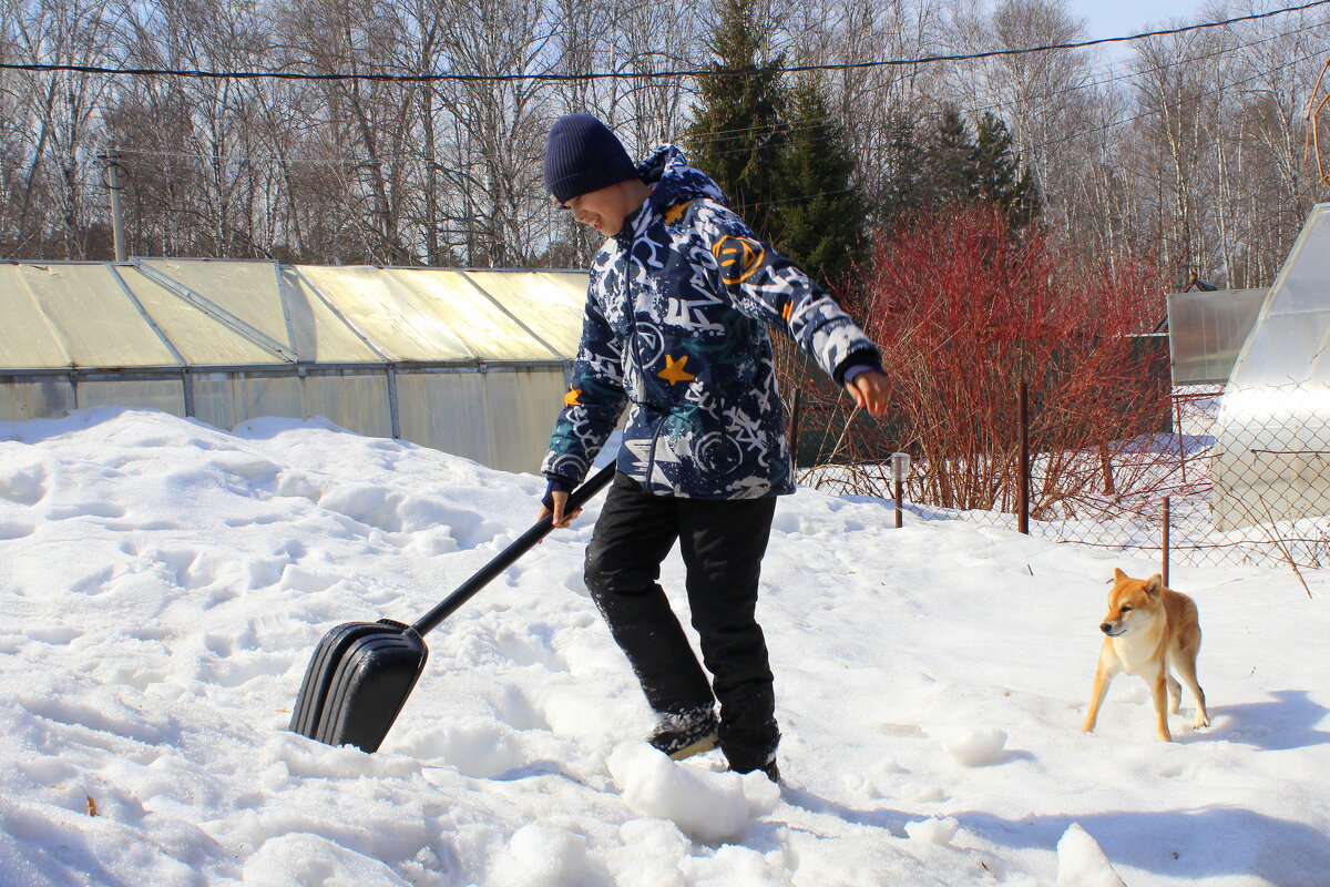 Дачная забота в апреле - раскидать снег! - Татьяна Лютаева