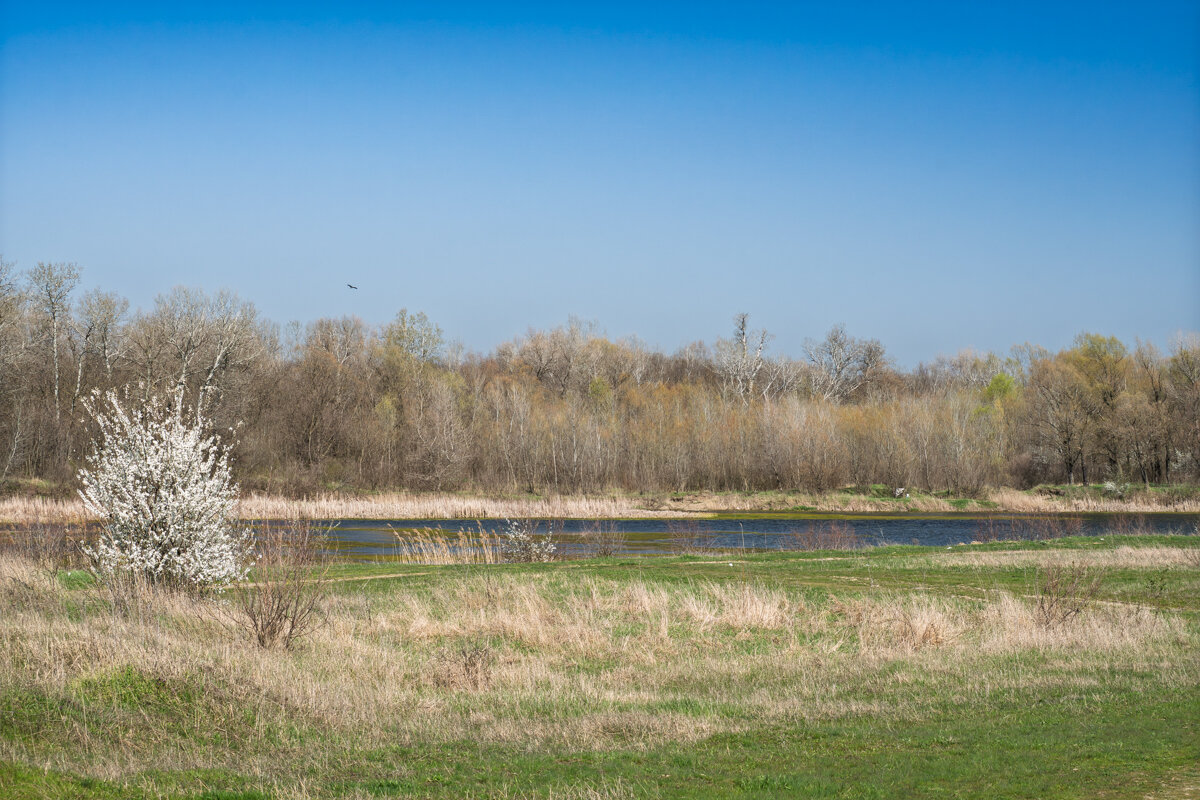 *** - Игорь Сикорский