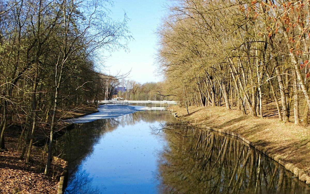 Весенний парк. - Милешкин Владимир Алексеевич 
