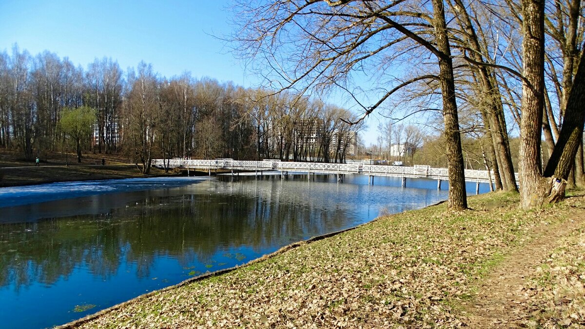 Весенний парк. - Милешкин Владимир Алексеевич 