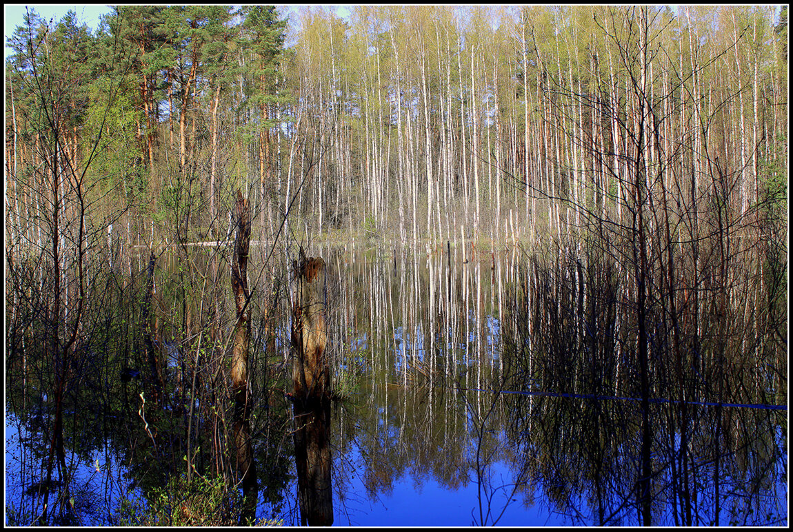 Весна пришла на болото - Aleksandr Gal Весна пришла на болото - Aleksandr Gal