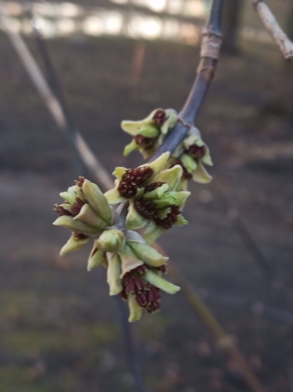 Весеннее - Елена Семигина