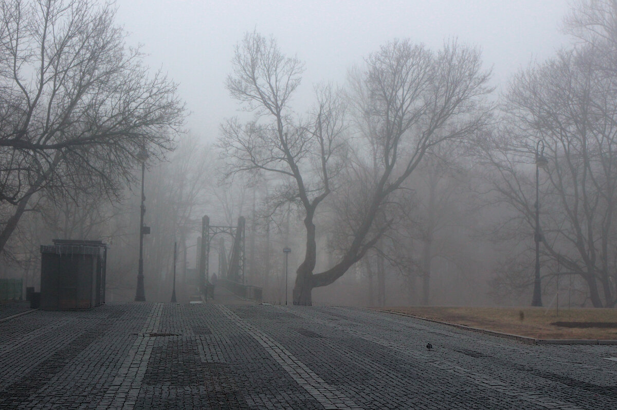 *** - Сергей Григорьев *** - Сергей Григорьев