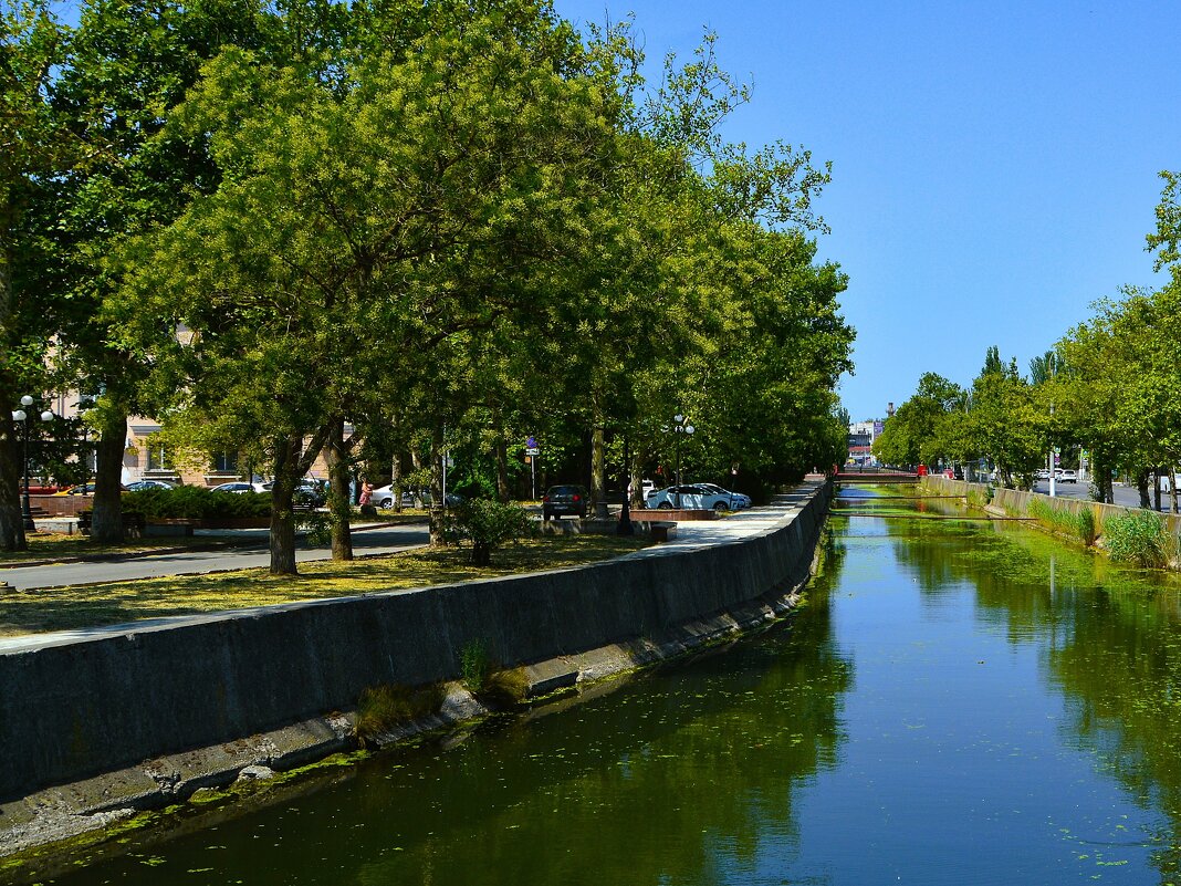 Керчь. Цветёт софора на набережной реки Мелек-Чесме. - Пётр Чернега Керчь. Цветёт софора на набережной реки Мелек-Чесме. - Пётр Чернега