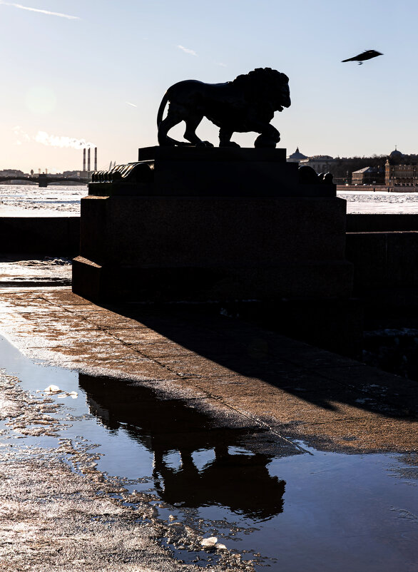 Полёт - Eugene *