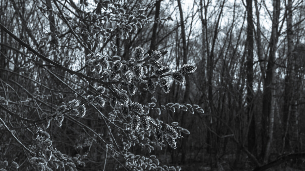 ***** - юрий поляков