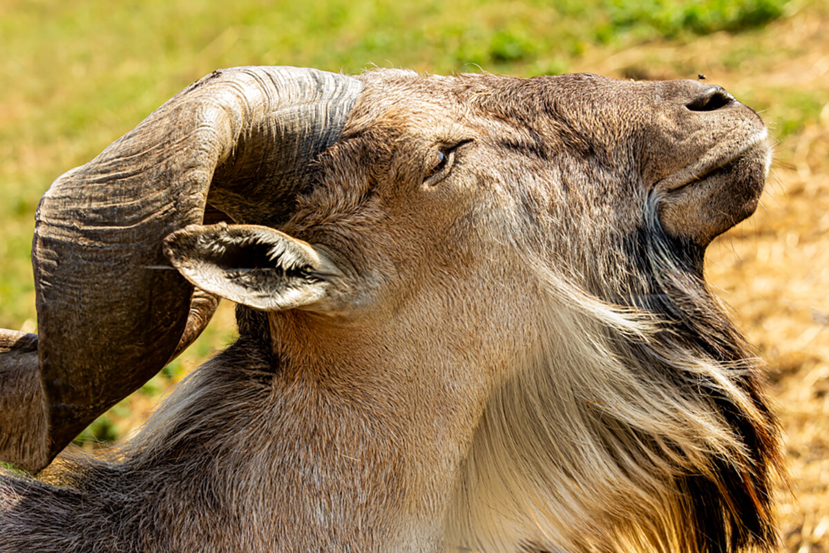 Солнечный день - Lucy Schneider 