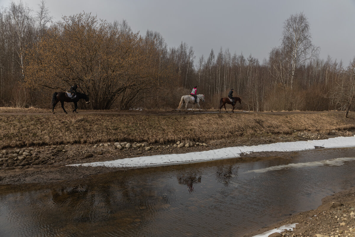 Прогулка - Татьяна Гузева