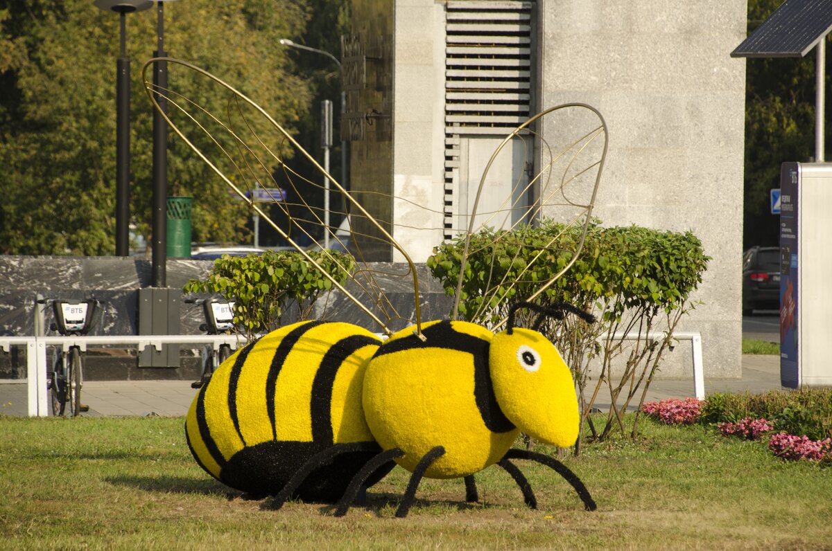 Пчела - Олег Пчела - Олег