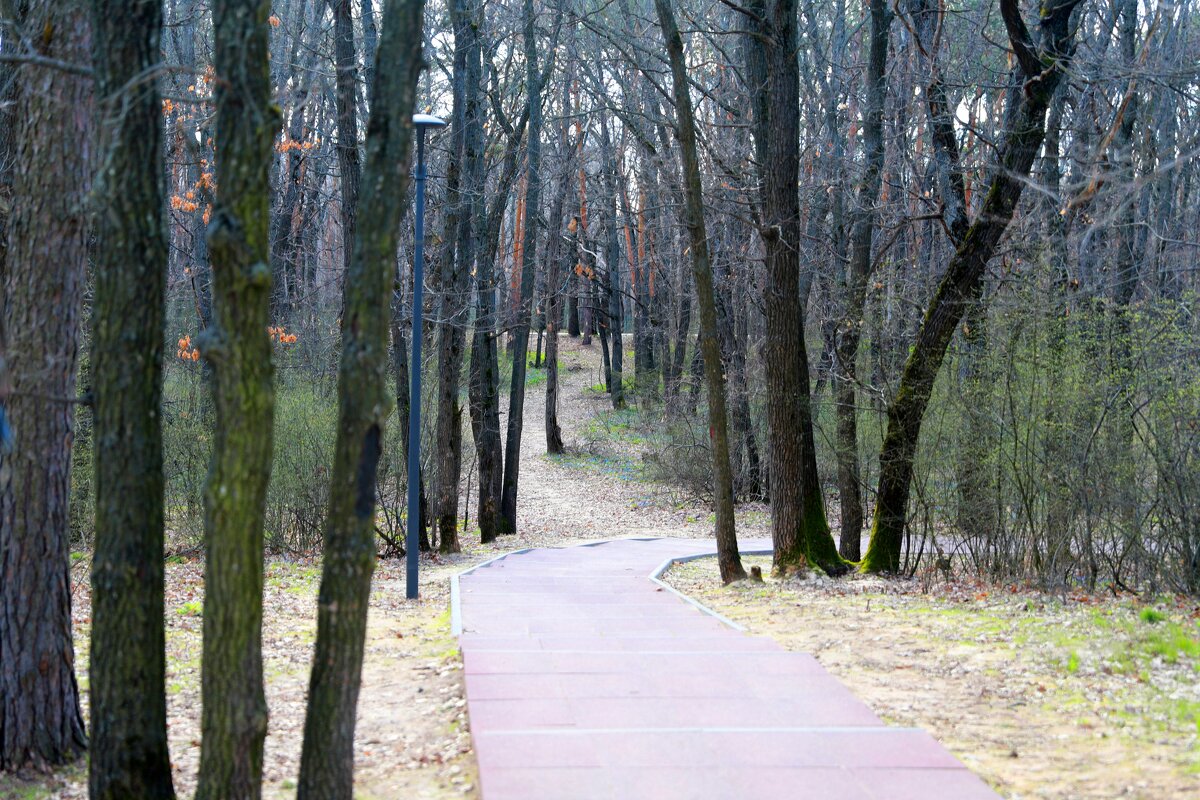 *** - Андрей Л. В.