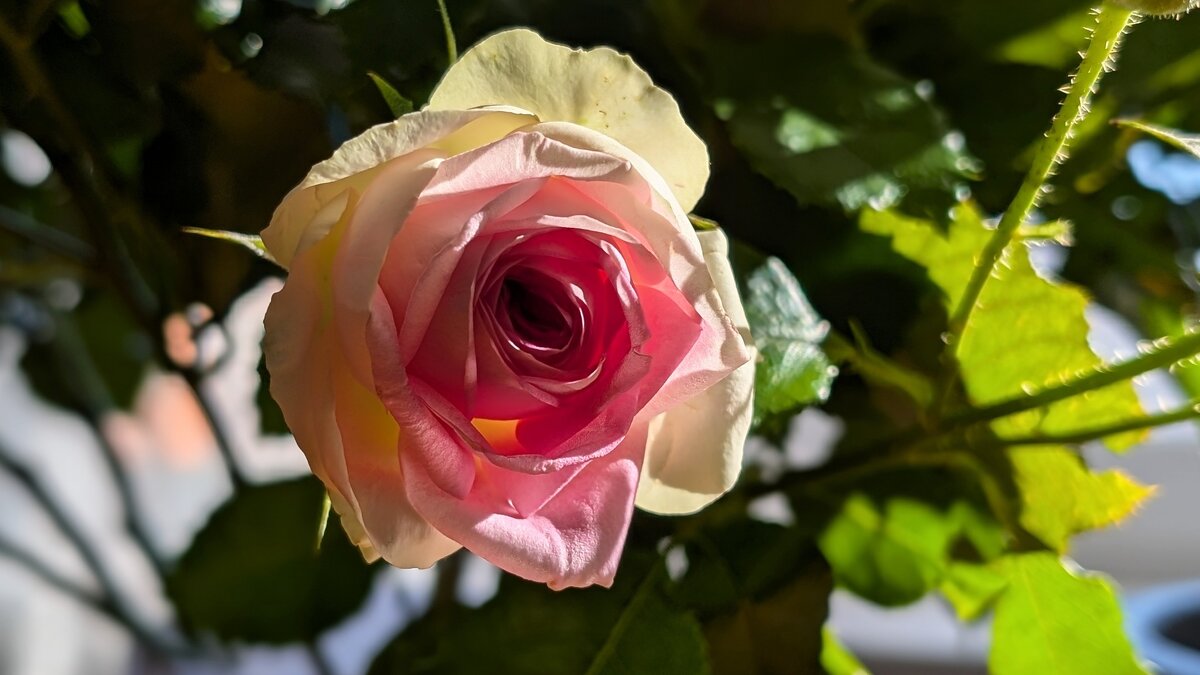 Макро... - Валерий Кокорев