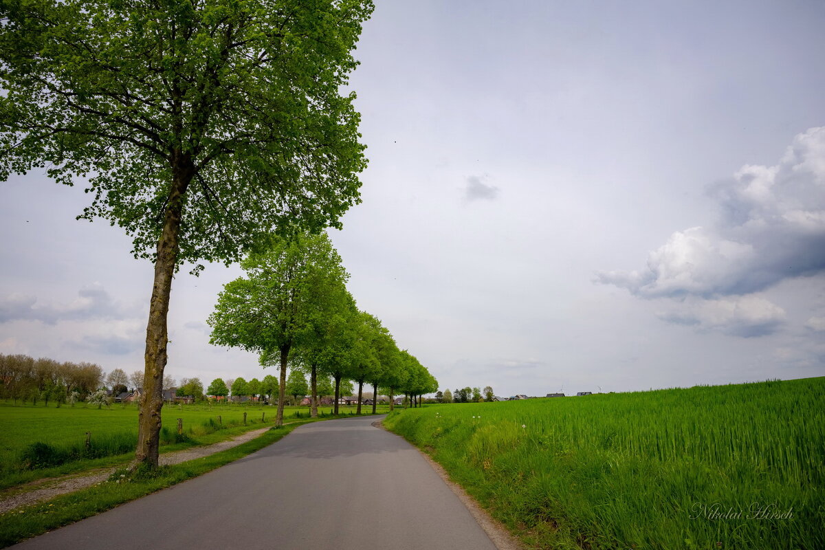 Майское настроение... - Николай Гирш