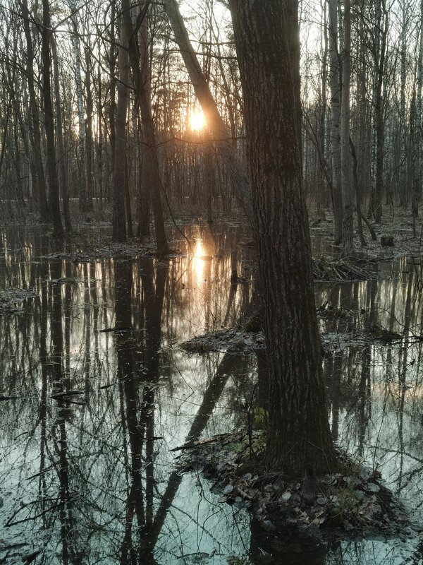 Закат над весенними водами - 4X_Pro Непразднующий Закат над весенними водами - 4X_Pro Непразднующий