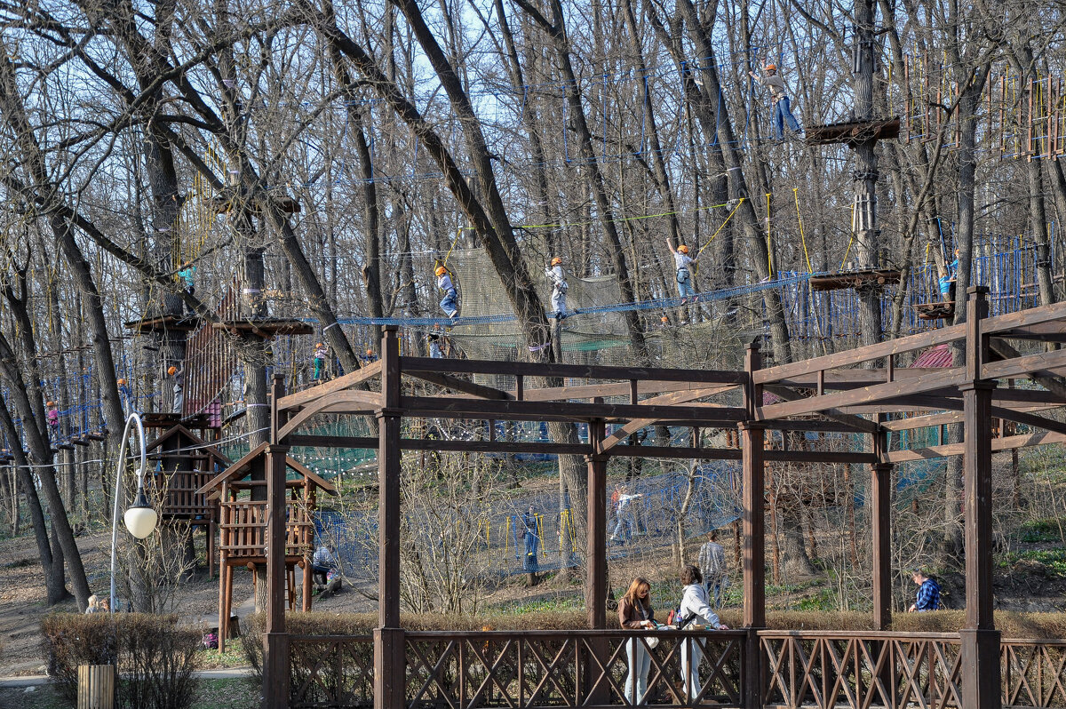 Верёвочный парк "1000 узлов" - Татьяна Машошина Верёвочный парк "1000 узлов" - Татьяна Машошина