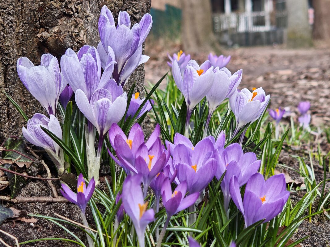 Весна 2026 - Вадим Вайс