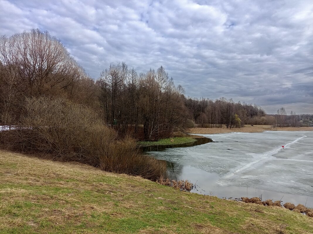 Из недопоказанного в марте - Андрей Лукьянов