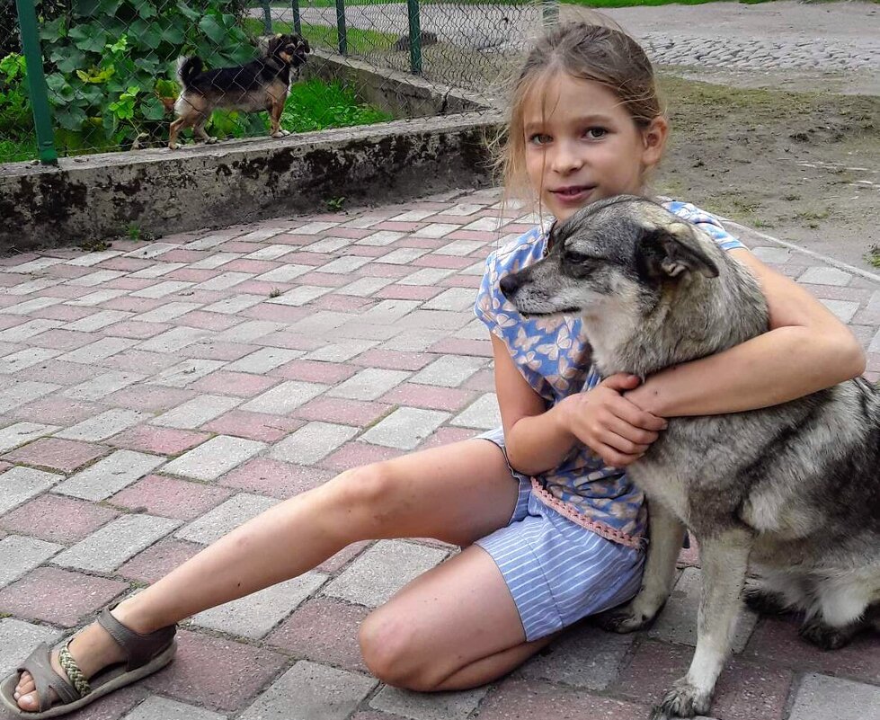 Ребята и зверята - Георгиевич 