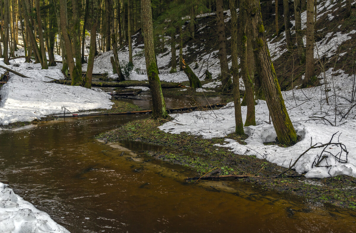 Полноводный ручей - Сергей Цветков Полноводный ручей - Сергей Цветков
