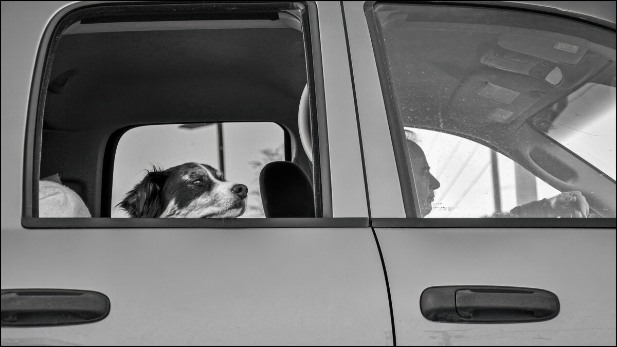 Перекресток - **** vedin