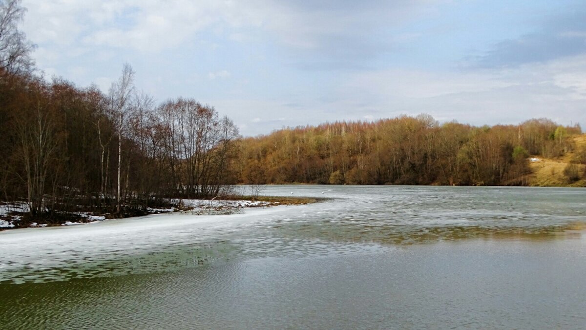 Весна в начале апреля. - Милешкин Владимир Алексеевич 