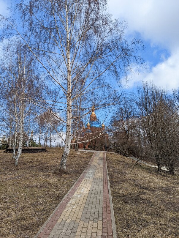 Пробуждение природы ... - Ravile 