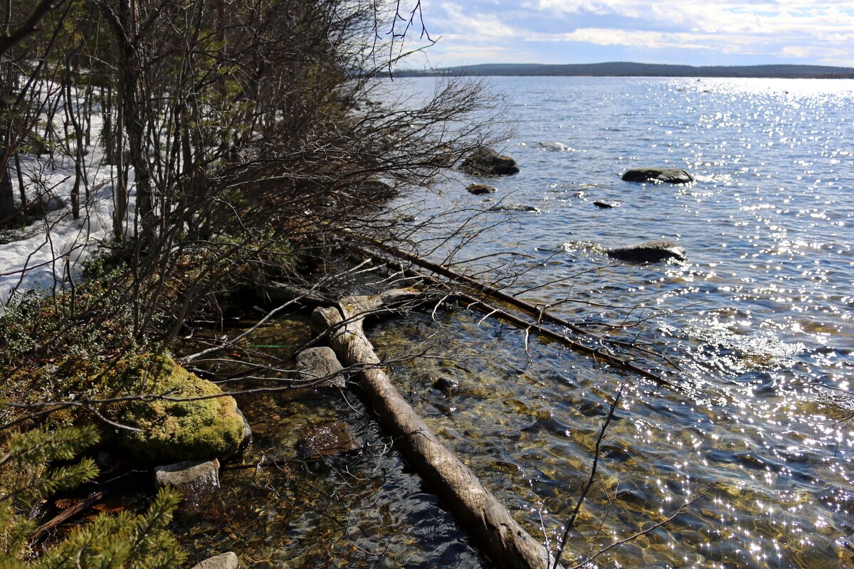 Весеннее Пинозеро - Ольга 