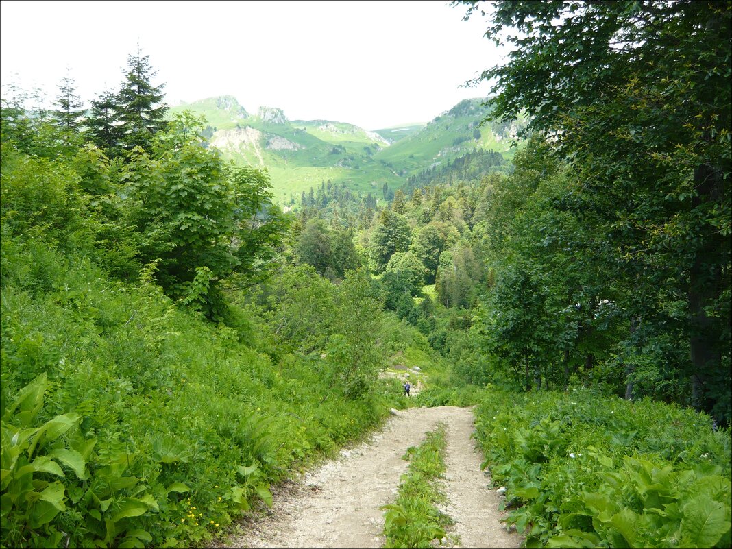 Вместе весело шагать! - Надежда Вместе весело шагать! - Надежда