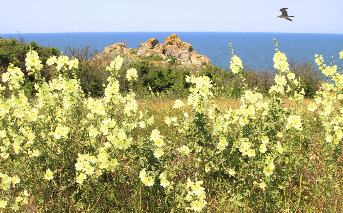 Мальва - Геннадий Валеев Мальва - Геннадий Валеев