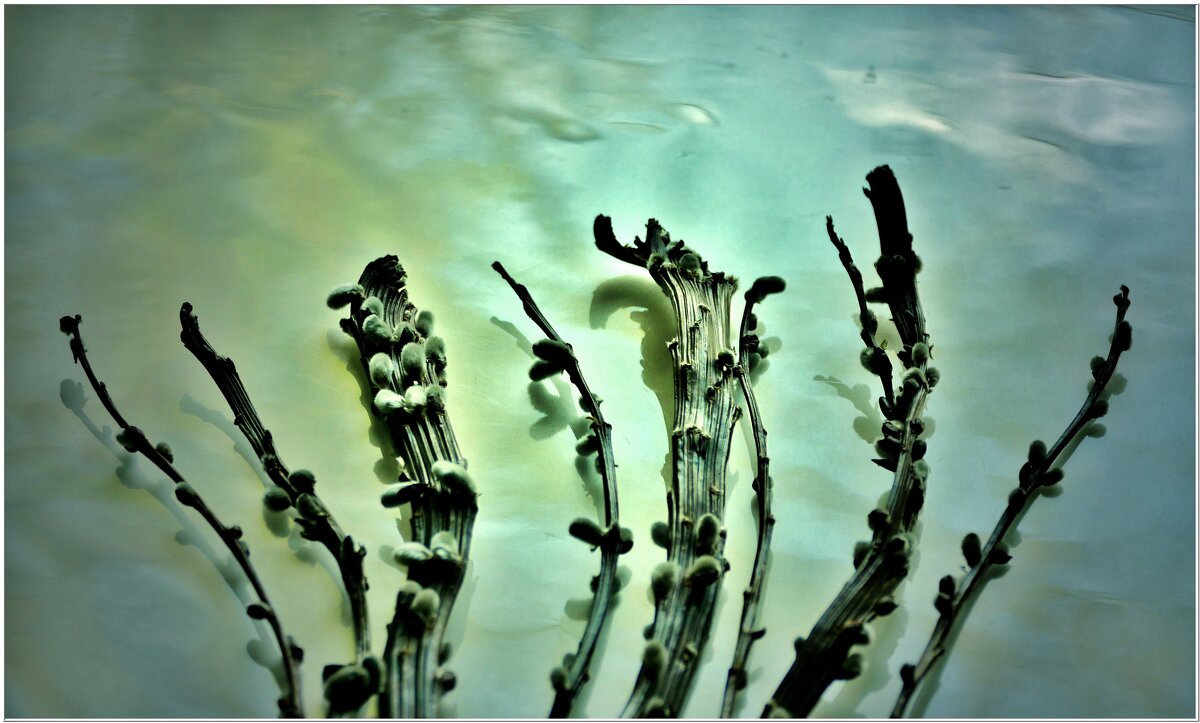 ВЕСНА... - Elvira E. 