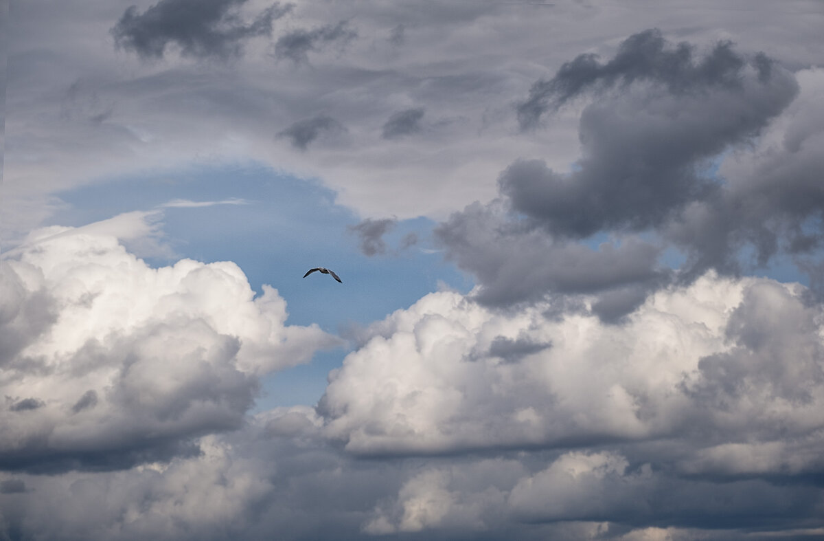 под облаками - Galina 