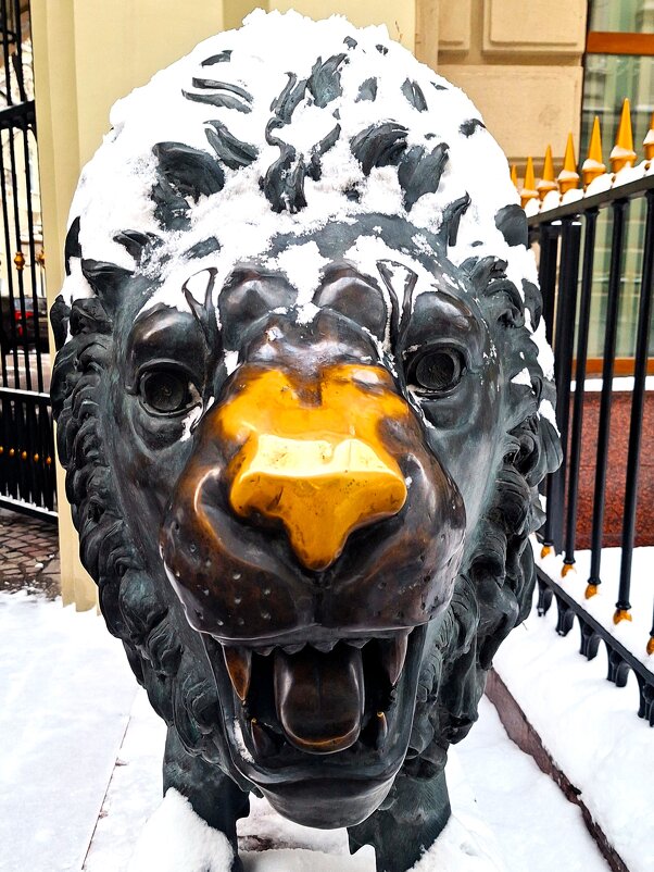 Нос - Наталья 