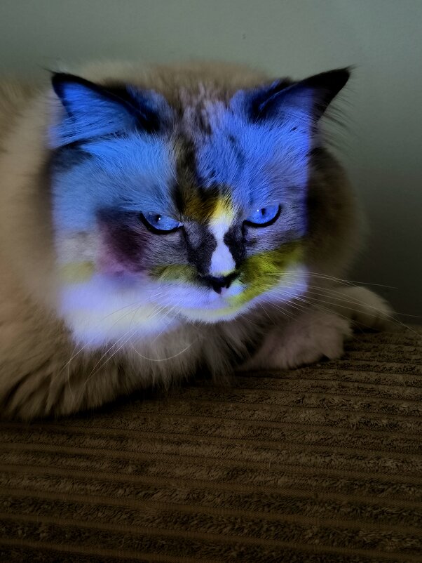 * - Сергей Полянский