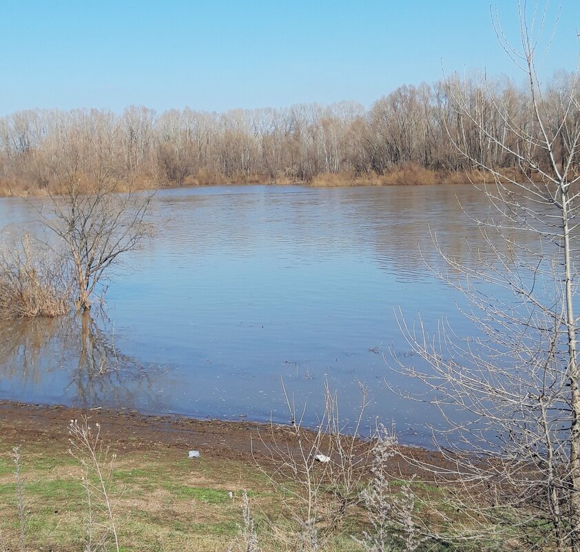 Весна - Венера Чуйкова