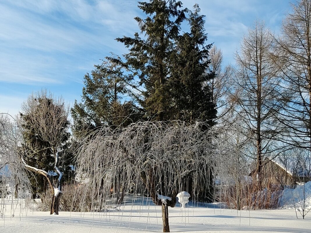 Территория Площанской пустыни - Елена Сухорученкова