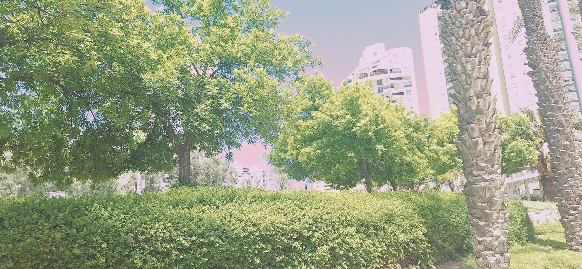 14  КЛОС (112) - CLOSE WAYS ALL