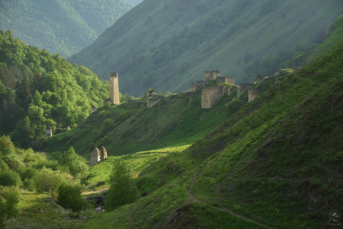 ЦОРИ - Анатолий Гордиенко